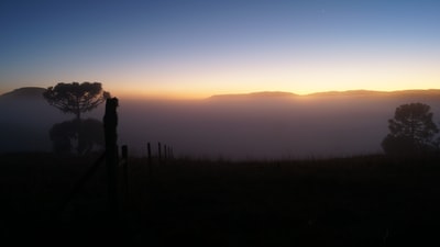 How to download an iPhone wallpaper and save it to your Apple Photos