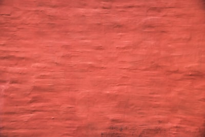 Why are red and white Christmas cards so popular?